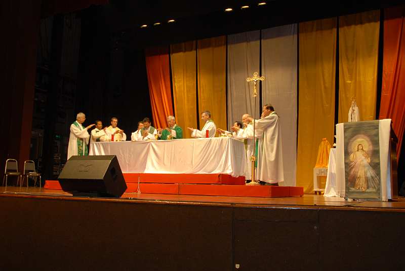 DSC (141)